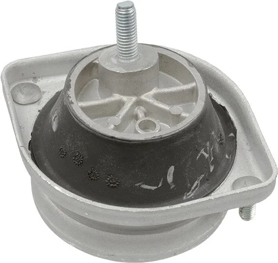 Variklio montavimas LEMFÖRDER 14886 01