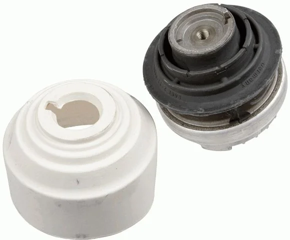 Variklio montavimas LEMFÖRDER 29756 01