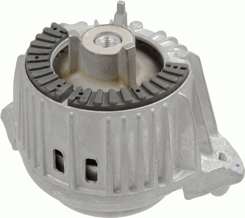 Variklio montavimas LEMFÖRDER 37289 01