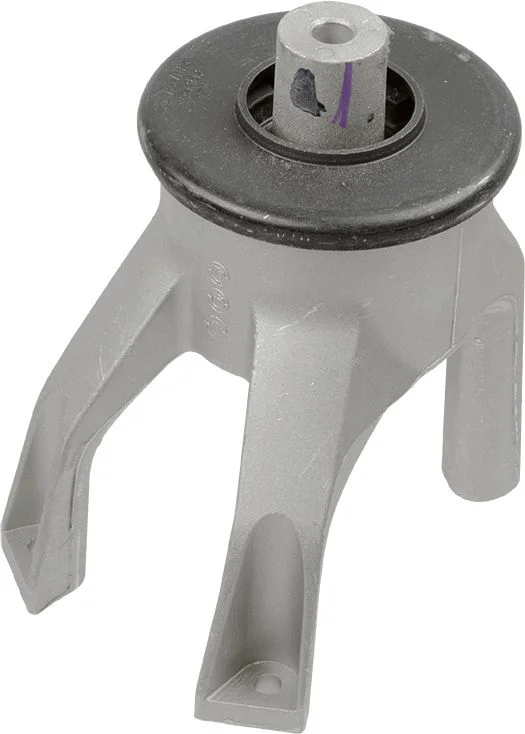 Variklio montavimas LEMFÖRDER 37659 01