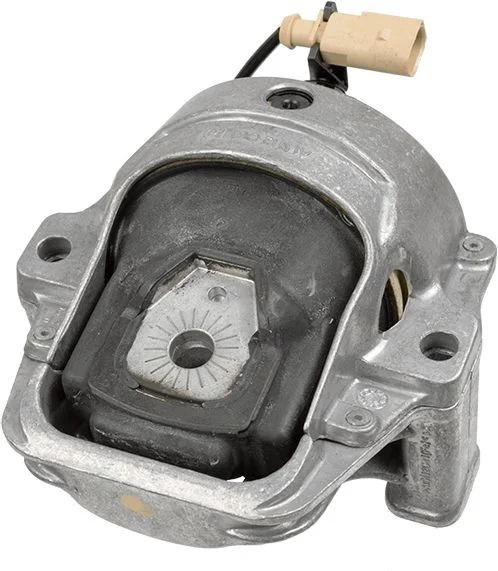 Variklio montavimas LEMFÖRDER 42372 01