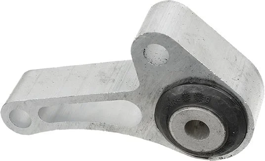 Variklio montavimas LEMFÖRDER 42447 01