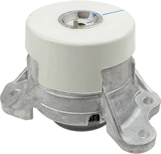 Variklio montavimas LEMFÖRDER 42570 01
