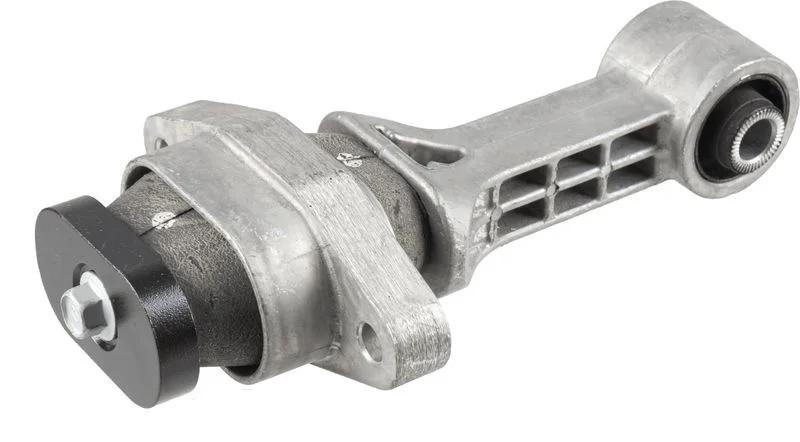 Variklio montavimas LEMFÖRDER 43061 01