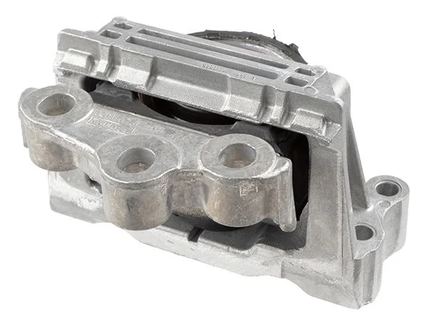 Variklio montavimas LEMFÖRDER 43136 01