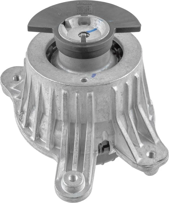 Variklio montavimas LEMFÖRDER 43269 01