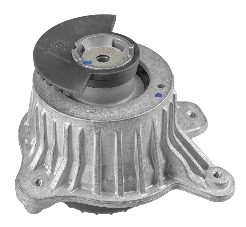 Variklio montavimas LEMFÖRDER 43674 01