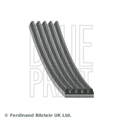 V-ribbed Belt BLUE PRINT AD05R1637