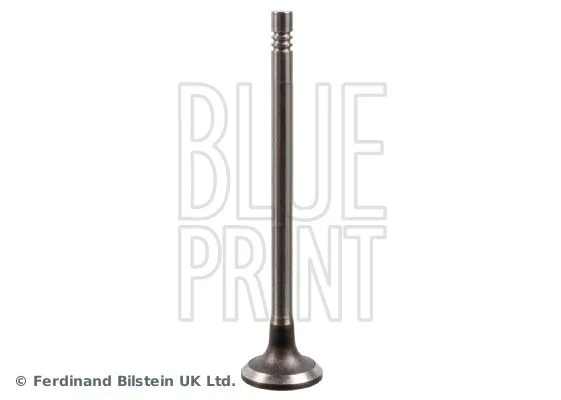 Intake Valve BLUE PRINT ADBP610034