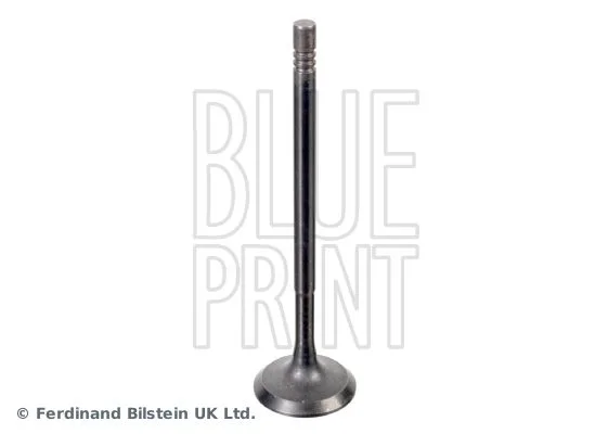 Intake Valve BLUE PRINT ADBP610041