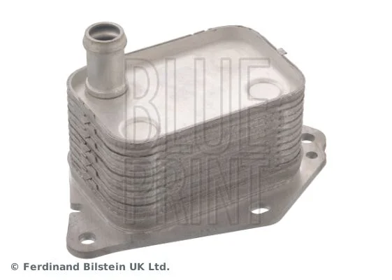 Oil Cooler, engine oil BLUE PRINT ADG06133