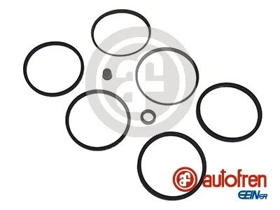 Repair Kit, brake caliper AUTOFREN SEINSA D4079