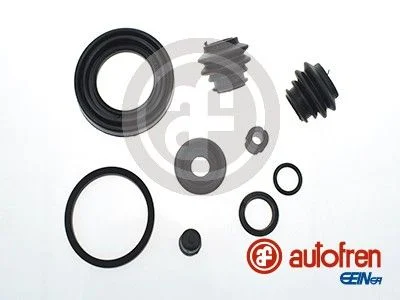 Repair Kit, brake caliper AUTOFREN SEINSA D41888