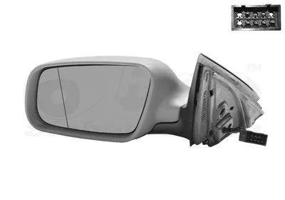 Išorinis veidrodėlis VAN WEZEL 0317807