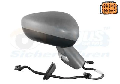 Išorinis veidrodėlis VAN WEZEL 0963818