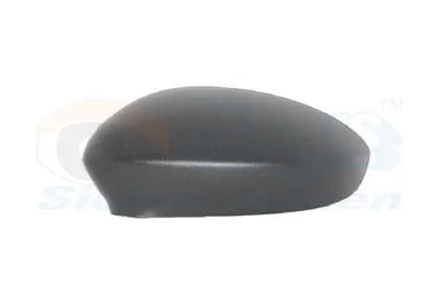 Dangtelis, išorinis veidrodėlis VAN WEZEL 1624843