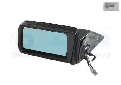 Išorinis veidrodėlis VAN WEZEL 3024813