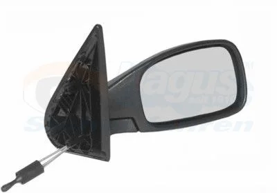 Išorinis veidrodėlis VAN WEZEL 4036804