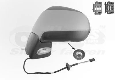 Išorinis veidrodėlis VAN WEZEL 4076817