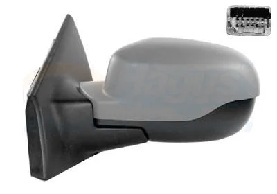 Išorinis veidrodėlis VAN WEZEL 4333817
