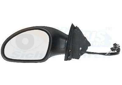 Išorinis veidrodėlis VAN WEZEL 4917803