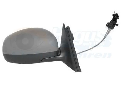 Išorinis veidrodėlis VAN WEZEL 7627804