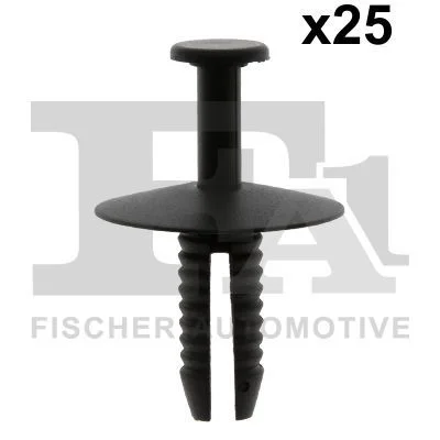 3881 FIS 10-20006.25