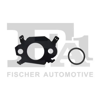 Gasket Set, EGR system FISCHER KG210020E