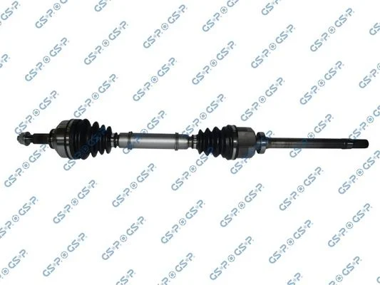 Pusašis GSP 250454
