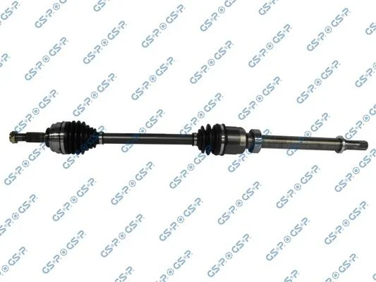 Pusašis GSP 250489
