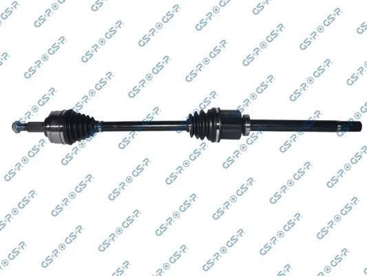 Pusašis GSP 250540