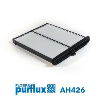 Filtras, salono oras  AH426