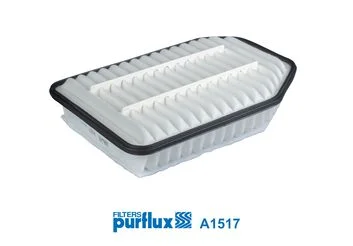 Oro filtras PURFLUX A1517