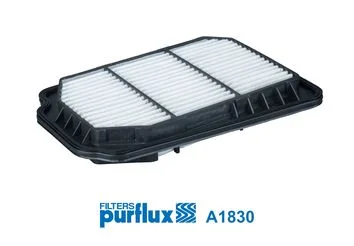 Oro filtras PURFLUX A1830