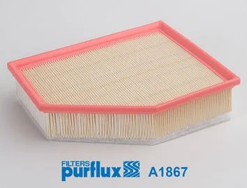 Oro filtras PURFLUX A1867