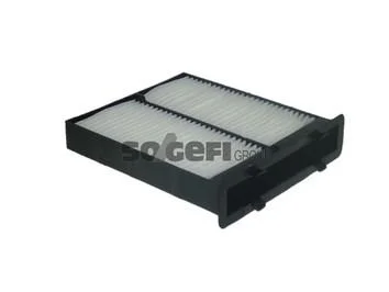 Filtras, salono oras PURFLUX AH429