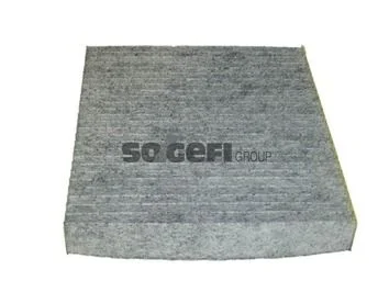 Filtras, salono oras PURFLUX AHC262