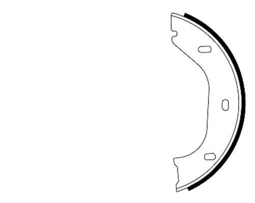 Brake Shoe Set, parking brake TEXTAR 91020200