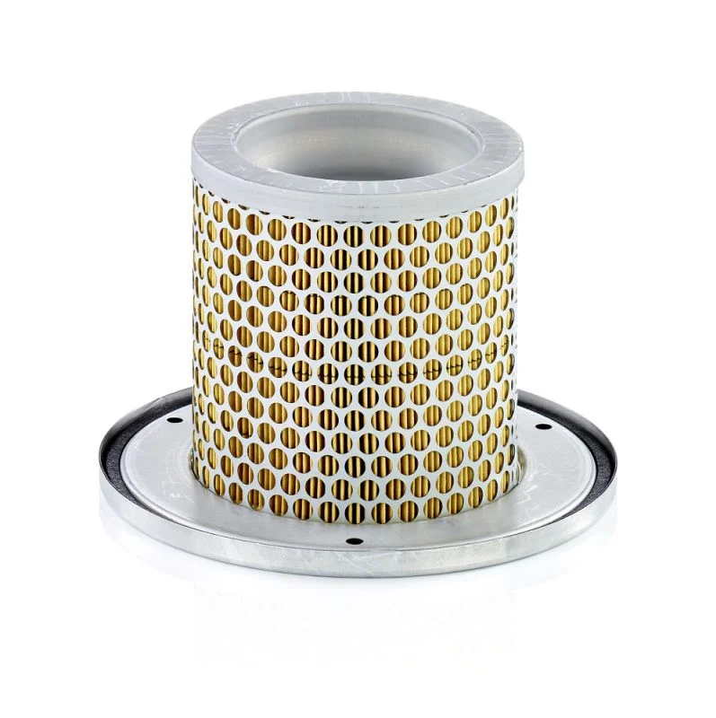 Antrinis oro filtras MANN-FILTER C1342KIT