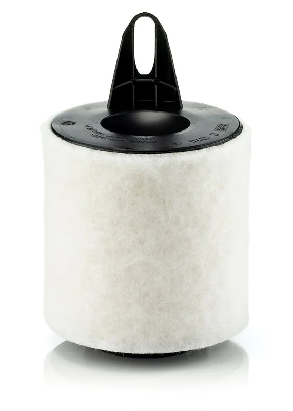 Oro filtras MANN-FILTER C1370