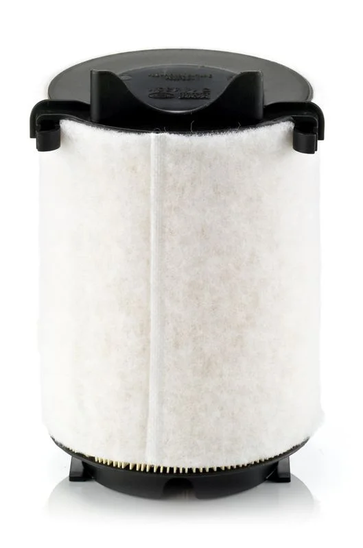 Oro filtras MANN-FILTER C14130/1