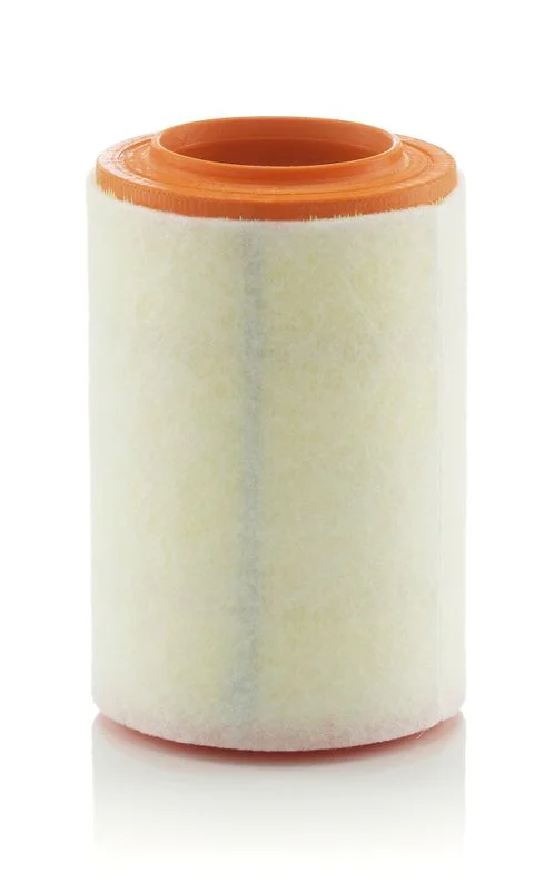 Oro filtras MANN-FILTER C15007