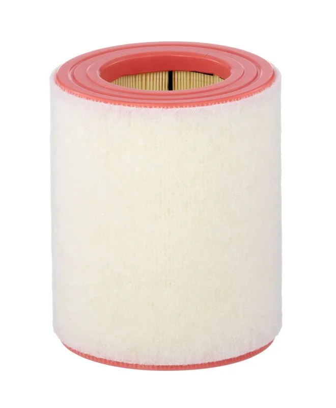 Oro filtras MANN-FILTER C16005