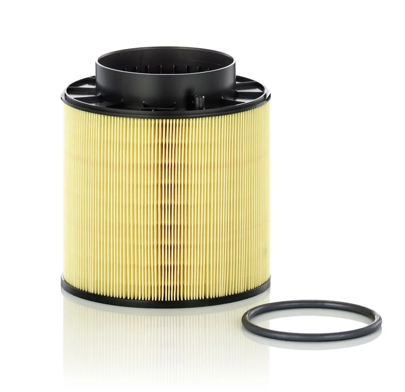Oro filtras MANN-FILTER C16114/2X