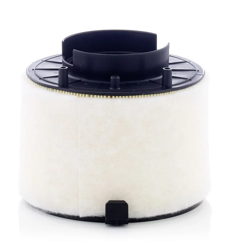 Oro filtras MANN-FILTER C17009