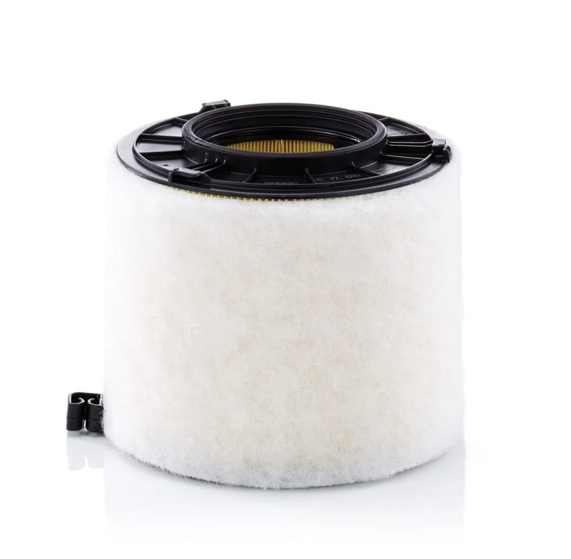 Oro filtras MANN-FILTER C17010