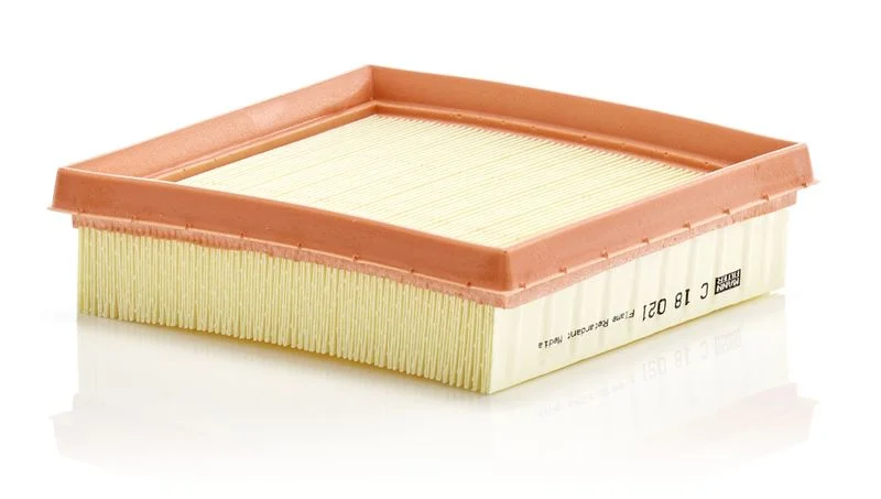 Oro filtras MANN-FILTER C18021