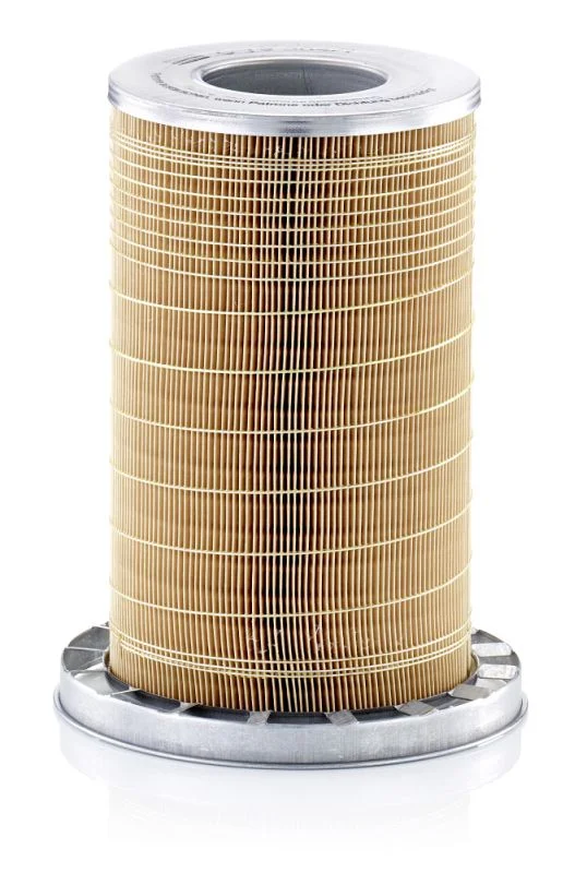 Oro filtras MANN-FILTER C19384/1