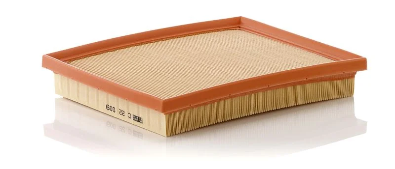 Oro filtras MANN-FILTER C 22 009