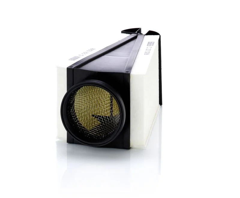 Oro filtras MANN-FILTER C22028